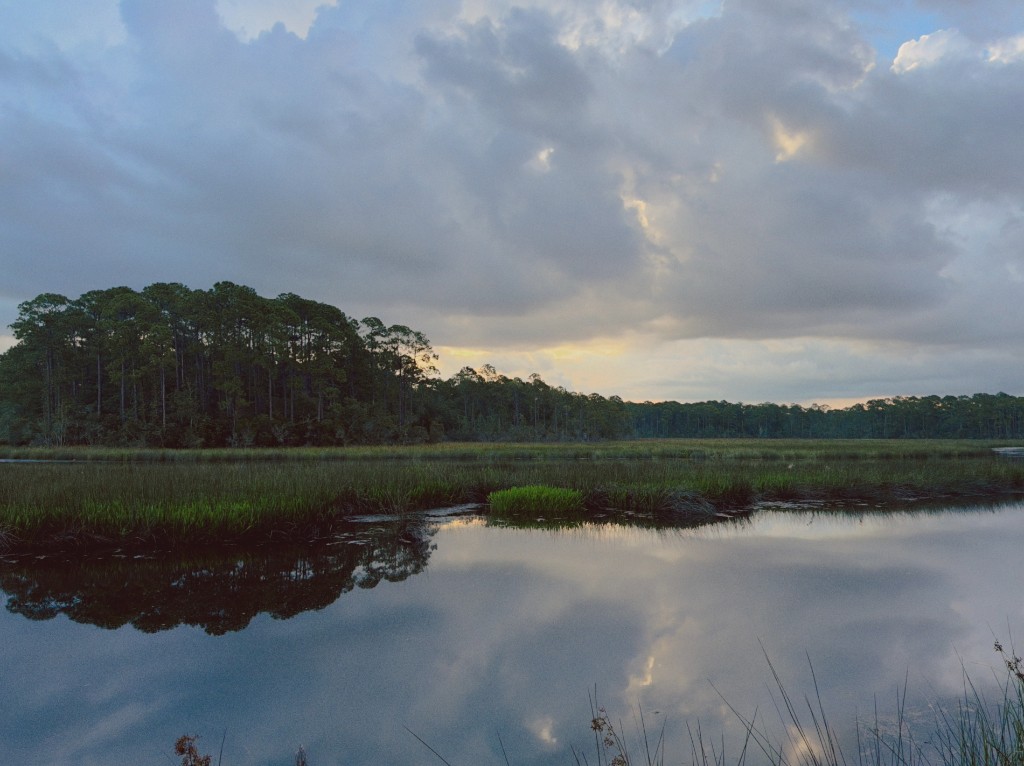 Quiet salt marsh at dusk, still water reflecting sky and pines