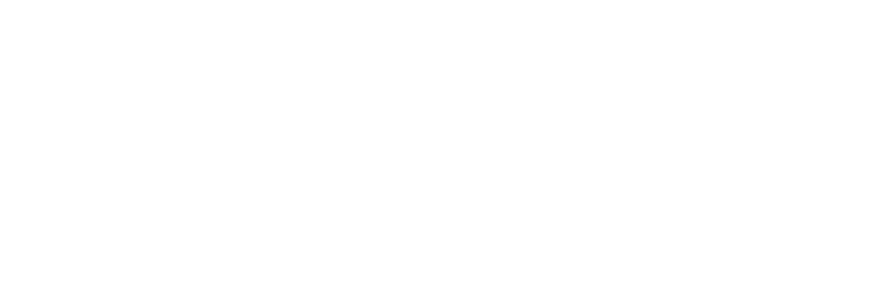 Salt Marsh Digital